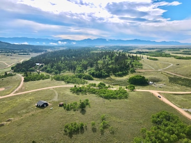 1087 Kite Ct, Como, CO 80456 - photo 3