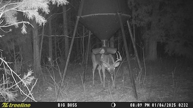 9 Coon Hollow Rd, Blue Creek, OH 45616 - photo 5