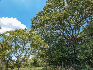 13-ac County Rd 118, Whitesboro, TX 76273 - photo 2