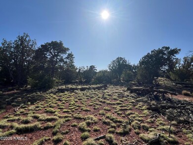 8755 S Rim Ranch Rd, Valle, AZ 86046 - photo 6