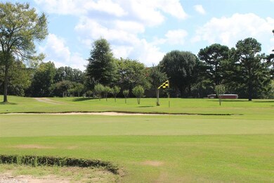 0 Riverwood St, Heber Springs, AR 72543 - photo 3