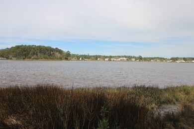 Creek view