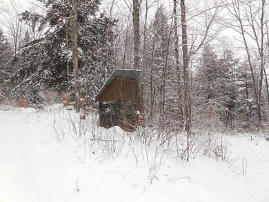 Lot #1 Off Rd S, Parsonsfield, ME 04047 - photo 5