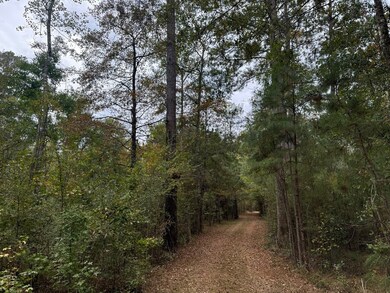 unlisted-address, Osyka, MS 39656 - photo 3