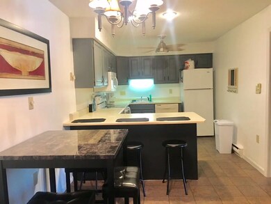 227 Main St unit 236, Lincoln, NH 03251 - photo 5