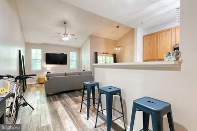 5006 Hollington Dr unit 303, Owings Mills, MD 21117 - photo 3