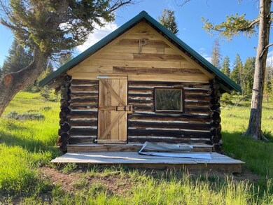 TBD Quartz Hill Rd - Argentite Lode, Wise River, MT 59762 - photo 4