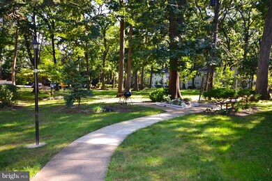 236 N Thomas St unit 2361, Arlington, VA 22203 - photo 4