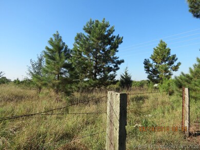 470 Scipio Ln, McAlester, OK 74501 - photo 3