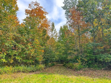 72281 Hennes Rd, Gordon, WI 54527 - photo 3