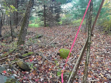 00 Hodge Hill Rd, Lisbon, NH 03585 - photo 2