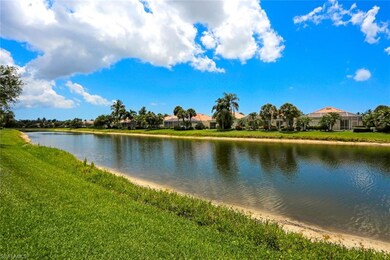 Water view with plenty of fish and ducks.