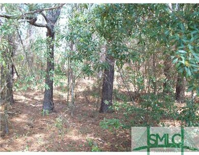 Land/Lot. Dense wooded area in back of property.