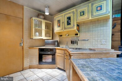 236 Pinewood Ln, Berkeley Springs, WV 25411 - photo 4