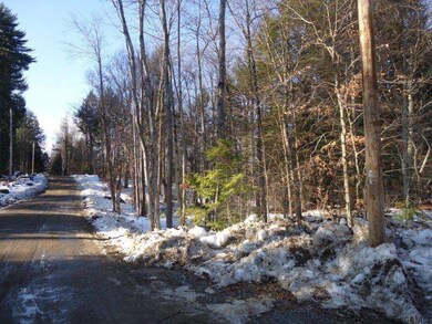 0 Parker Rd unit 201425381, Hadley, NY 12835 - photo 2