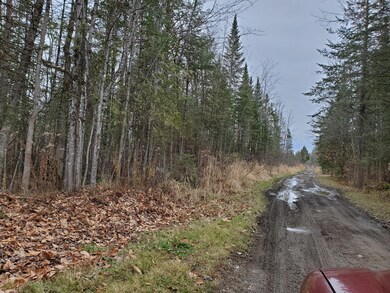 lot 7-B Johnson Flat Rd, Pittsfield, ME 04930 - photo 6