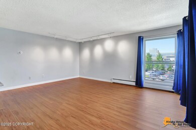 Lots of Natural Light!