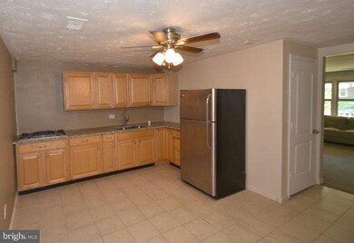 2428 Harriet Ave, Baltimore, MD 21230 - photo 5