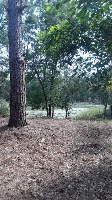 On the bank of Winding Tree Lake
