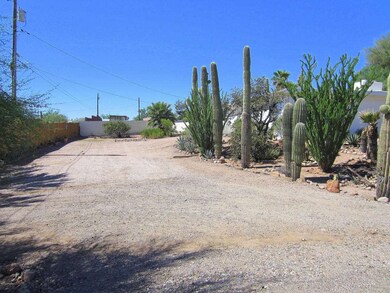 North Side Front Yard