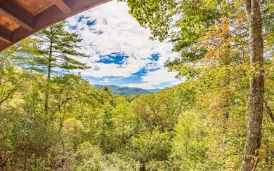 Additional View