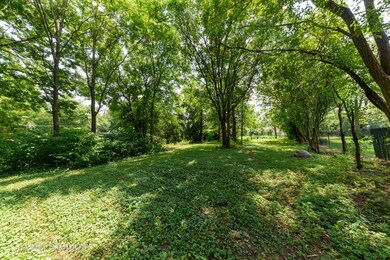 1365 Whitcomb Ave, Des Plaines, IL 60018 - photo 3