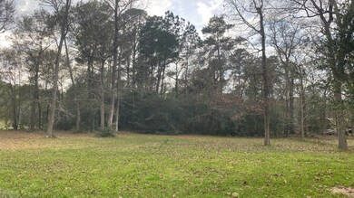 28603 Elm Trace Dr, Magnolia, TX 77355 - photo 4