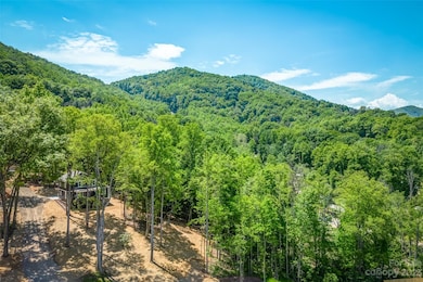 225 Long Range Ln, Leicester, NC 28748 - photo 2