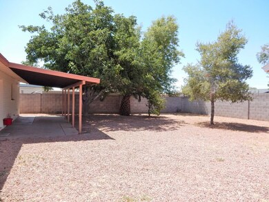 023-587781 - Backyard 1