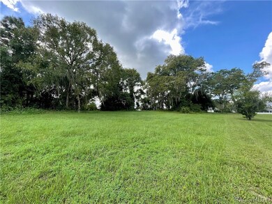 1199 N Hambletonian Dr, Hernando, FL 34442 - photo 6