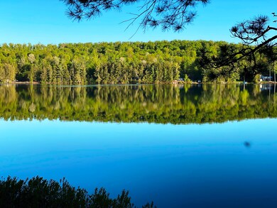 Lake view