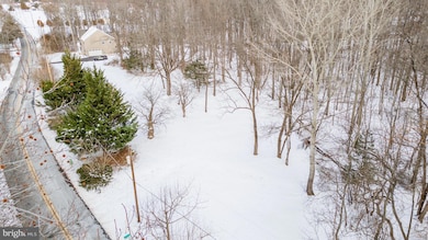 1055 Blackbird Landing Rd, Townsend, DE 19734 - photo 6