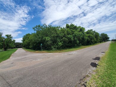 0 County Road 138 unit 75964648, Alvin, TX 77511 - photo 2