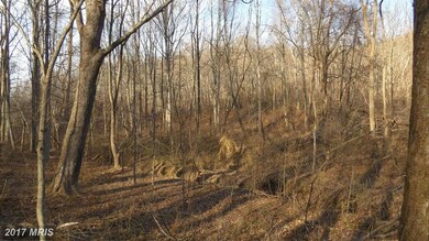 0 Piedmont unit 1002535310, Washington, VA 22747 - photo 3