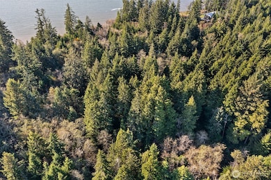 0 Lot 35 Bay Ln, South Bend, WA 98596 - photo 3