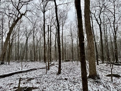 0 Sheep Bluff Rd unit RTC2480679, Cookeville, TN 38506 - photo 5