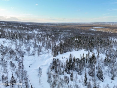 4-web-or-mls-aerial_6226 Redtop Cir04