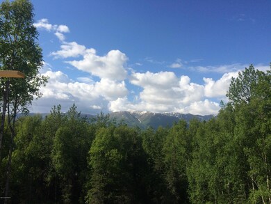 Better View Day!