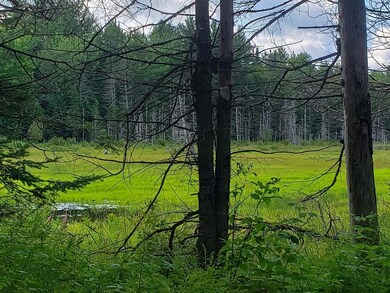 Farm Pond