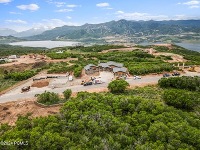 DJI_0695