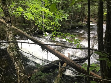 TBD Milo Rd, Sebec, ME 04481 - photo 7