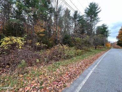 L35 Truesdale Hill Rd, Lake George, NY 12845 - photo 5
