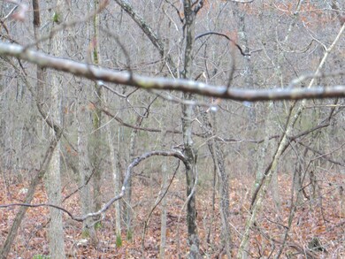 000 Ridgehaven Rd, Mammoth Spring Township, AR 72554 - photo 6