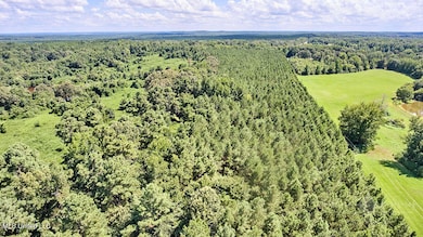 00 Graves Rd, Holly Springs, MS 38635 - photo 5