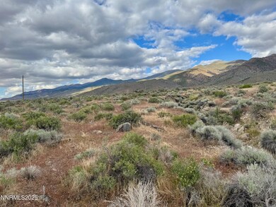IMG_0979
