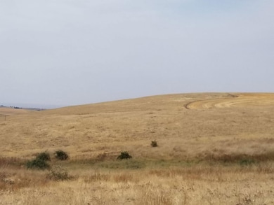 Cayuse Rd, Pendleton, OR 97801 - photo 2