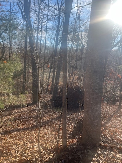 109 Falls Dr, Chickasaw Point, SC 29693 - photo 2