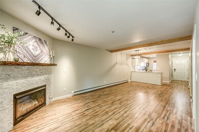 400 W Main St unit 103, Frisco, CO 80443 - photo 4