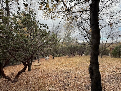 0 Yosemite Dr, Lake Arrowhead, CA 92352 - photo 6