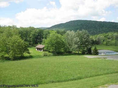 Lot 2 Northlake Development Dr, Davis, WV 26260 - photo 3